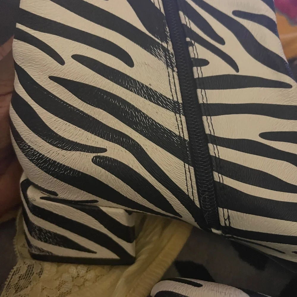 Funky Zebra Print Ankle Boots